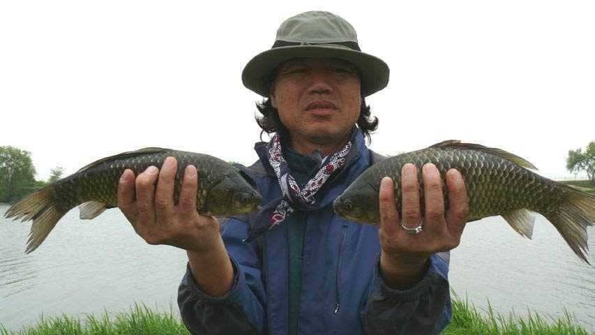 이제야 산란 들어간 회화리보 준월척 행진 (조황조행기 - 특파원조황)