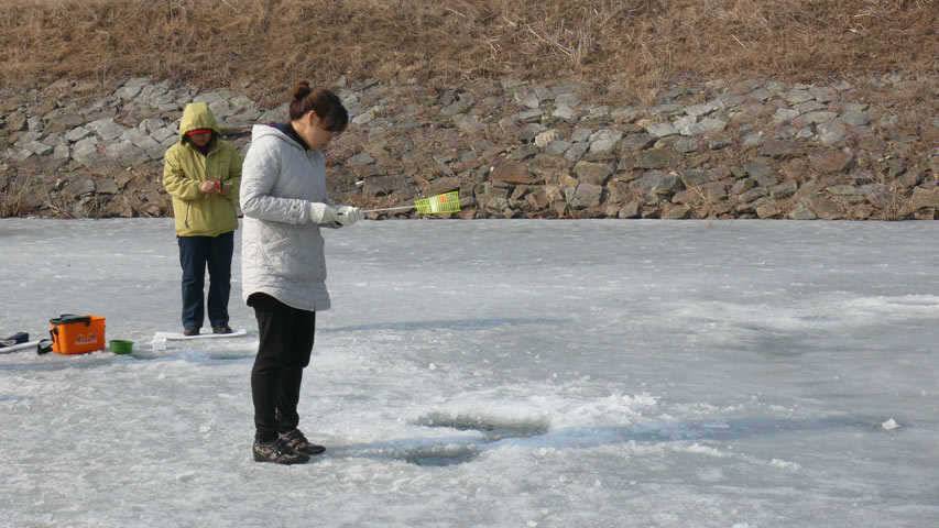 오산권 막바지 빙어낚시 (조황조행기 - 특파원조황)
