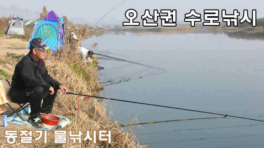 동절기 붕어천국 (조황조행기 - 특파원조황)