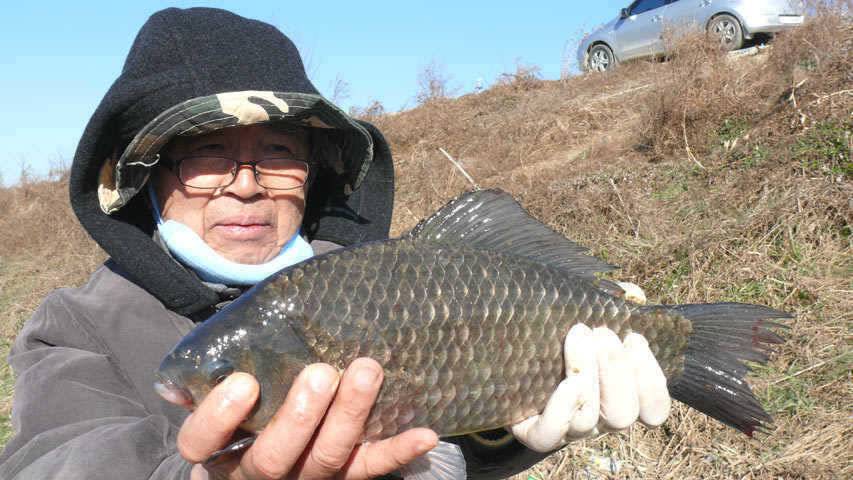 저력 보이는 황구지수로 (조황조행기 - 특파원조황)