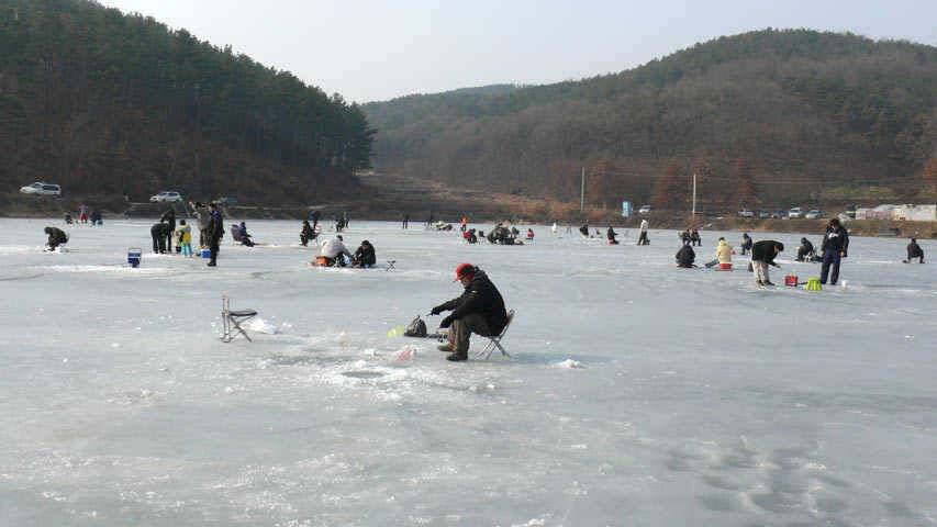 오산권 빙어낚시2 (조황조행기 - 특파원조황)