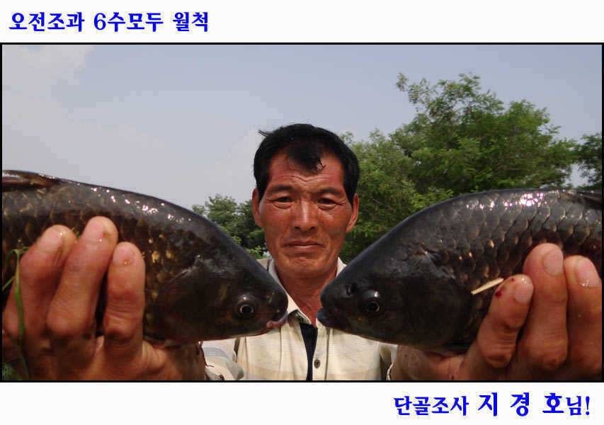 턱걸이4짜와 월척풍년오산권 수로낚시 (조황조행기 - 특파원조황)