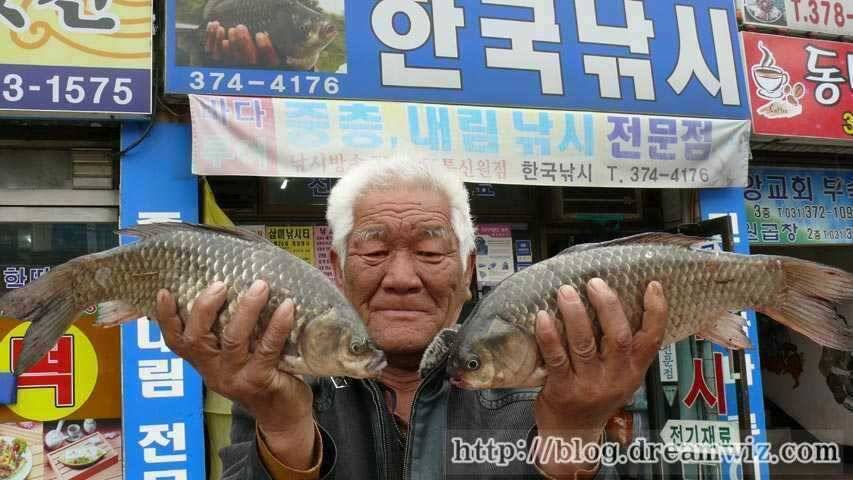 제철 돌아온 회화리보 호황소식 (조황조행기 - 특파원조황)