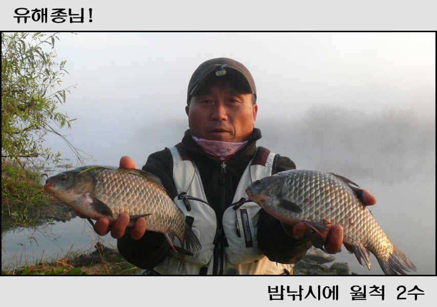 깊어가는 가을 밤낚시 (조황조행기 - 특파원조황)