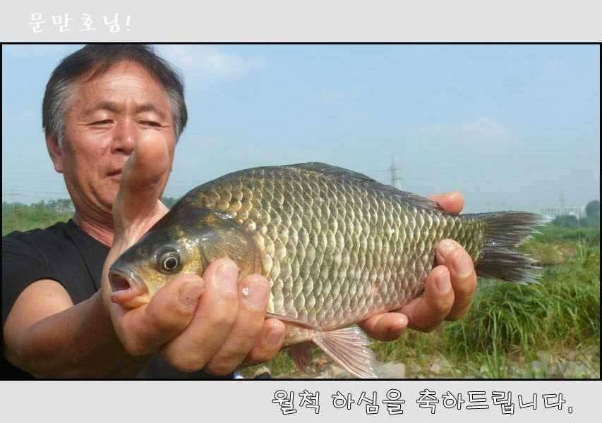 오산천가을맞이 월척들 (조황조행기 - 특파원조황)