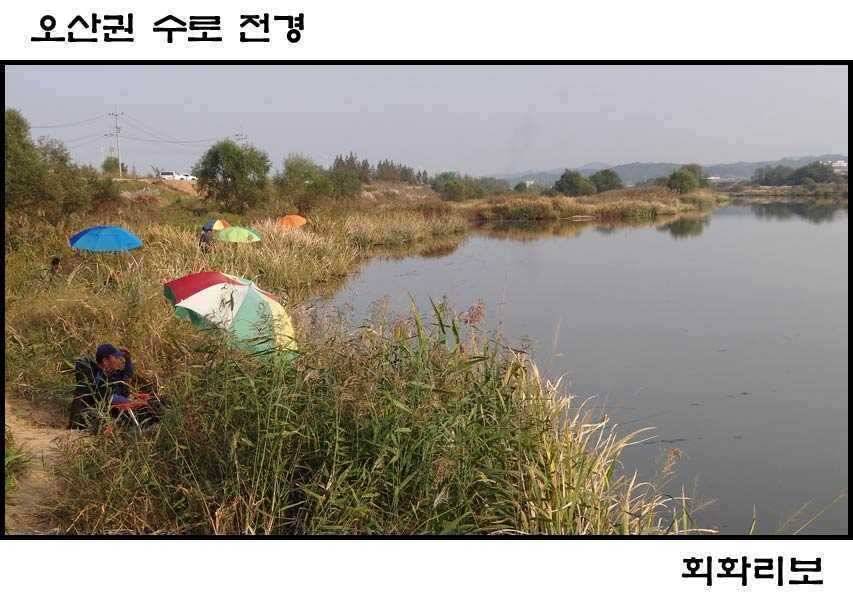 깊어가는 가을 오산권 수로낚시 (조황조행기 - 특파원조황)