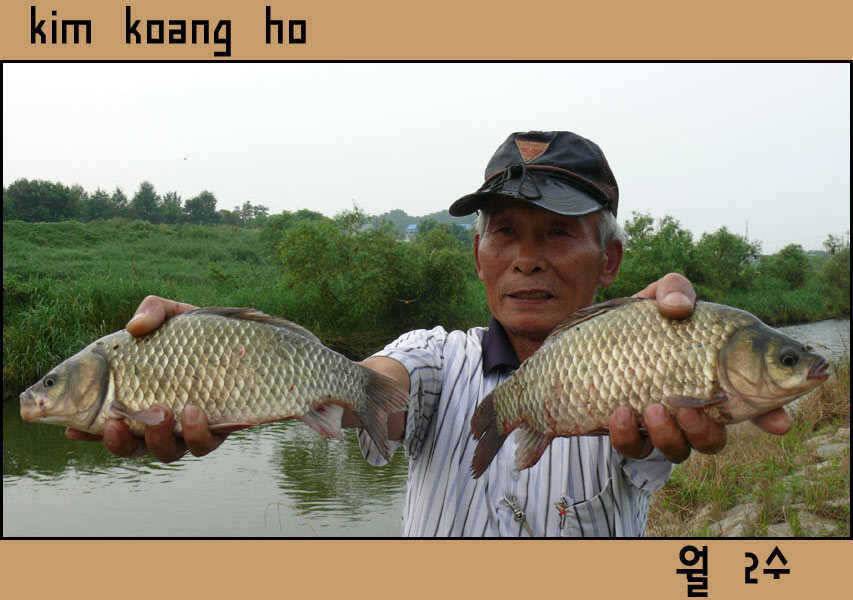 폭우에 몸살 앓는 수로붕어들 (조황조행기 - 특파원조황)