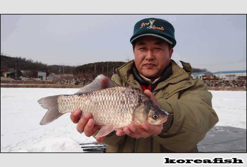 늦바람난 오산 서동지 (조황조행기 - 특파원조황)