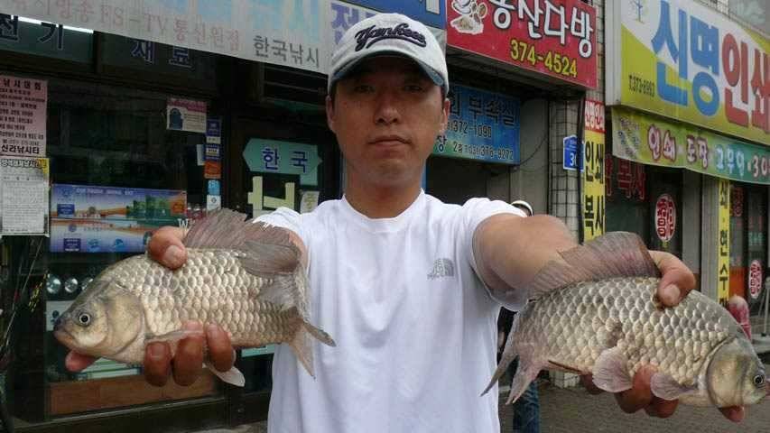 소류지월척과 장마와의 전쟁 (조황조행기 - 특파원조황)