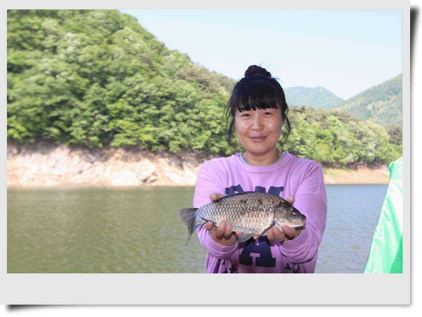 내림수위 속에 월척들 (조황조행기 - 특파원조황)