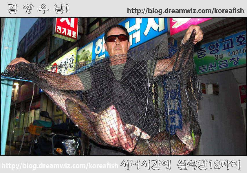 12마리의 월척오산천에서 (조황조행기 - 특파원조황)