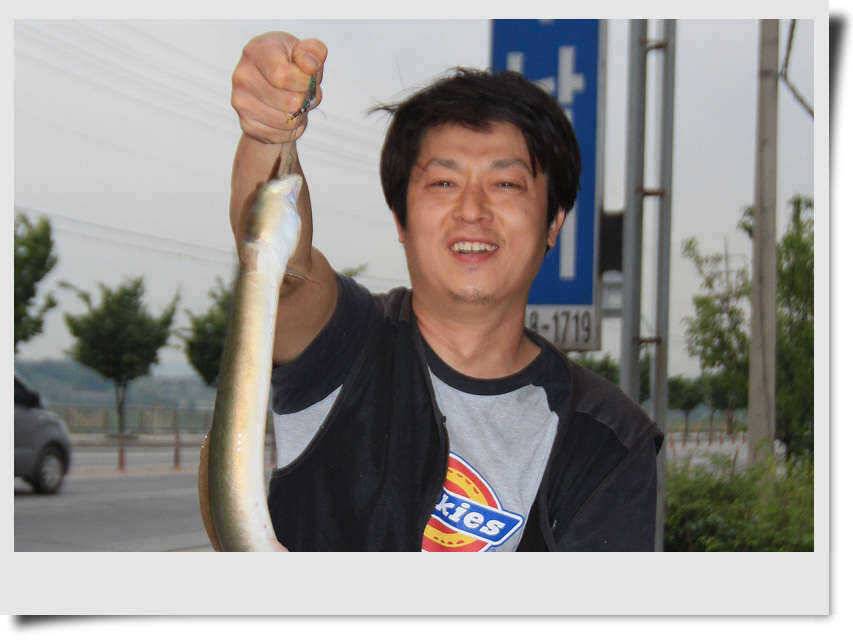 충주호 붕어장어 (조황조행기 - 특파원조황)