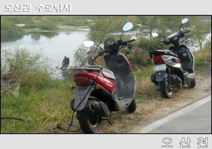 오산권 수로낚시의 변수 (조황조행기 - 특파원조황)