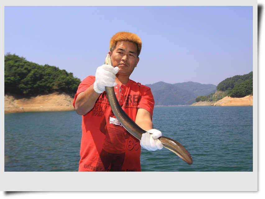 충주호 장어와 월척 (조황조행기 - 특파원조황)