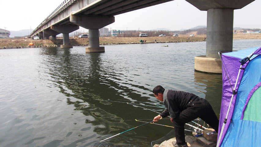 일부산란 시작하는 오산권수로 (조황조행기 - 특파원조황)