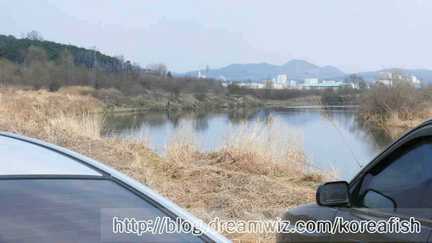 일부산란 시작하는 오산권수로 (조황조행기 - 특파원조황)