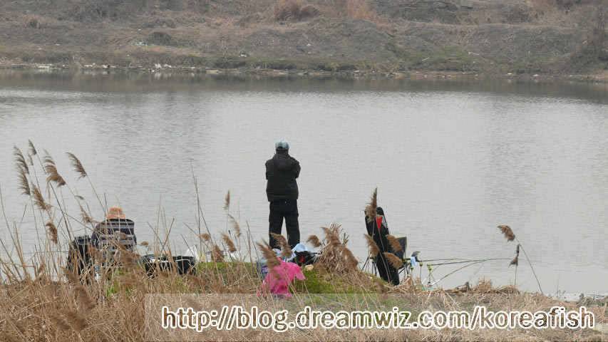 일부산란 시작하는 오산권수로 (조황조행기 - 특파원조황)