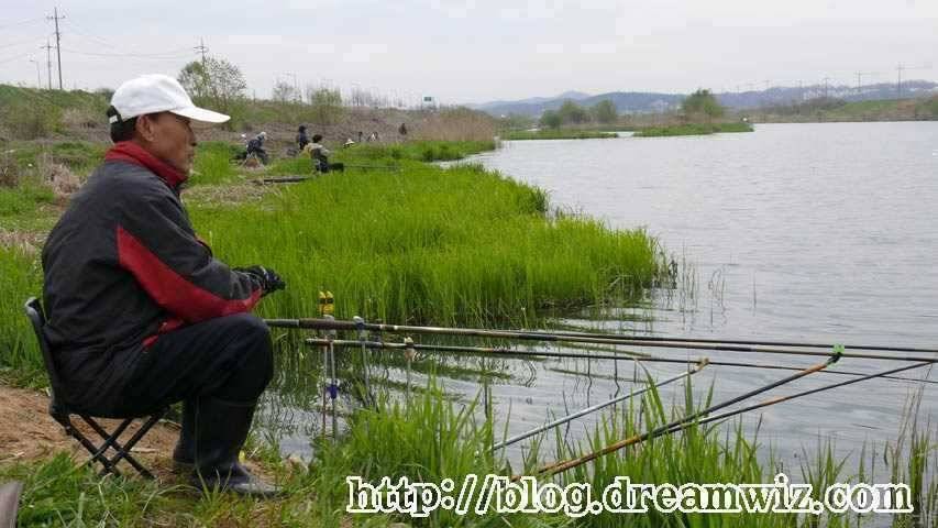 회화리보 펑펑 쏟아지네요 (조황조행기 - 특파원조황)