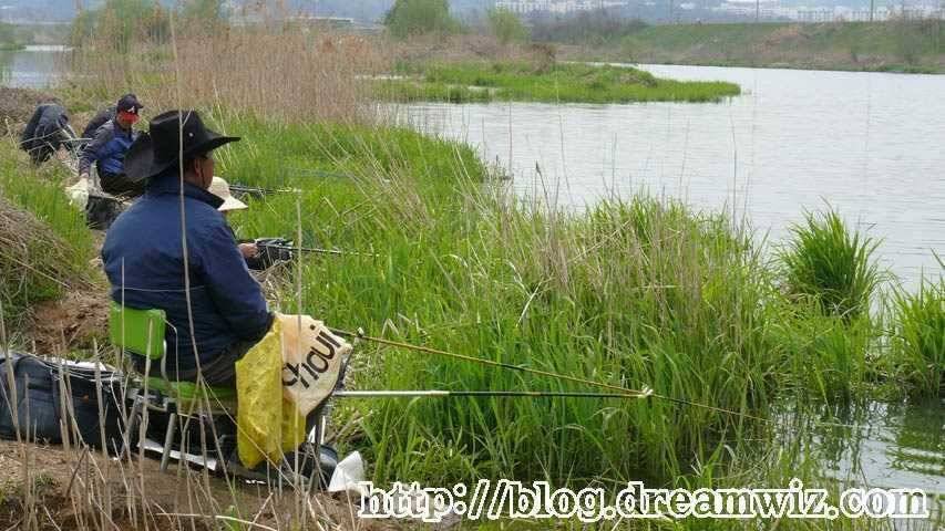 회화리보 펑펑 쏟아지네요 (조황조행기 - 특파원조황)