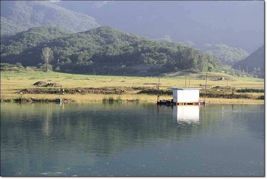 충주호 오름수위 (조황조행기 - 특파원조황)