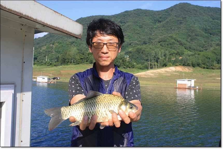 충주호 오름수위 (조황조행기 - 특파원조황)