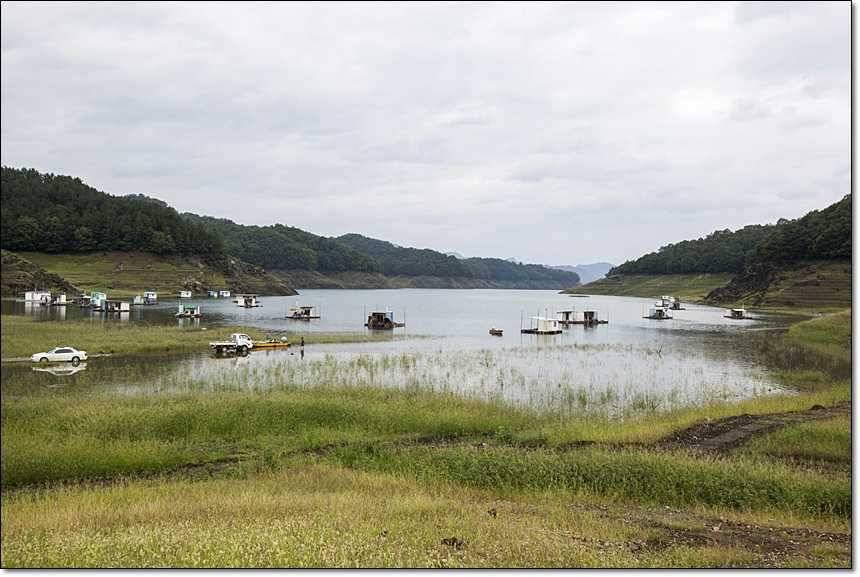 충주호 오름수위 (조황조행기 - 특파원조황)
