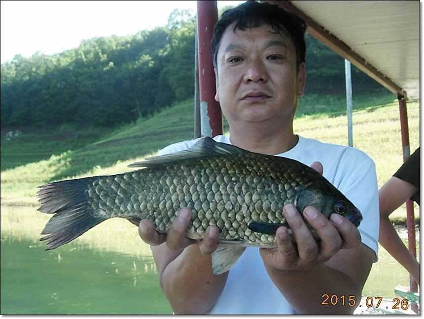 충주호 오름수위 (조황조행기 - 특파원조황)