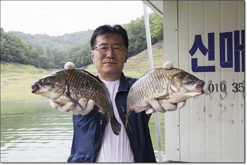 충주호 오름수위 (조황조행기 - 특파원조황)