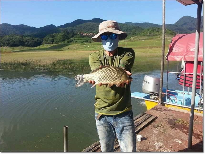 충주호 오름수위 (조황조행기 - 특파원조황)