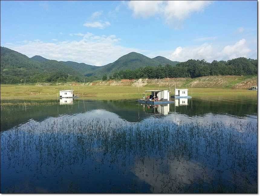 충주호 오름수위 (조황조행기 - 특파원조황)