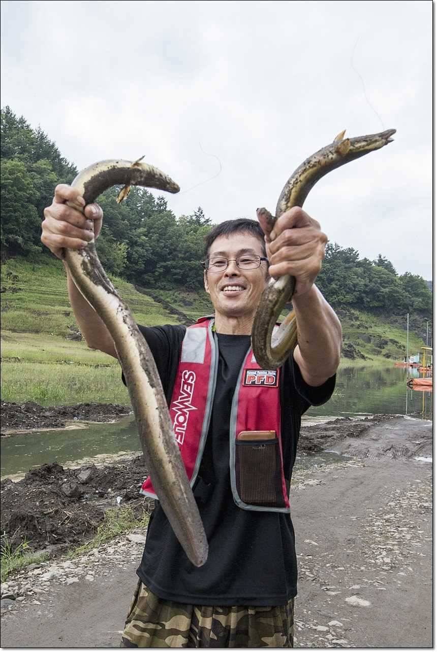 충주호 오름수위 (조황조행기 - 특파원조황)