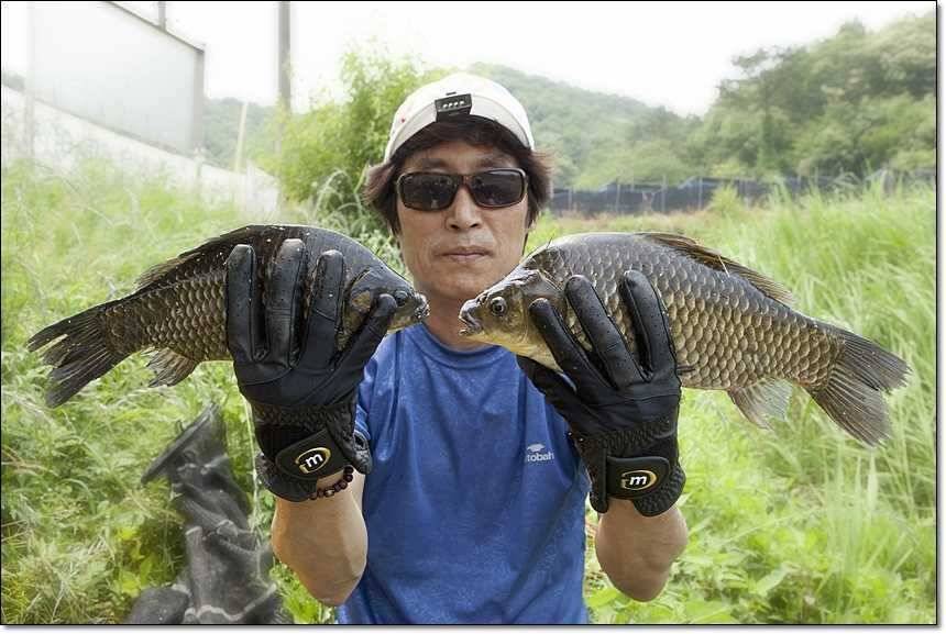 소류지 사짜충주호 사짜달천강 대박 (조황조행기 - 특파원조황)