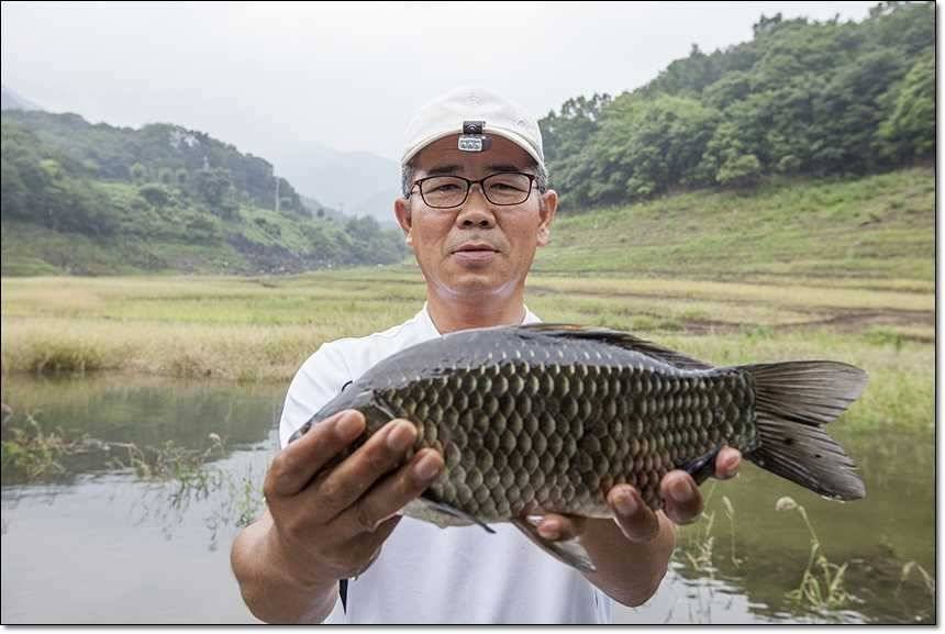 충주호그리고대물 (조황조행기 - 특파원조황)