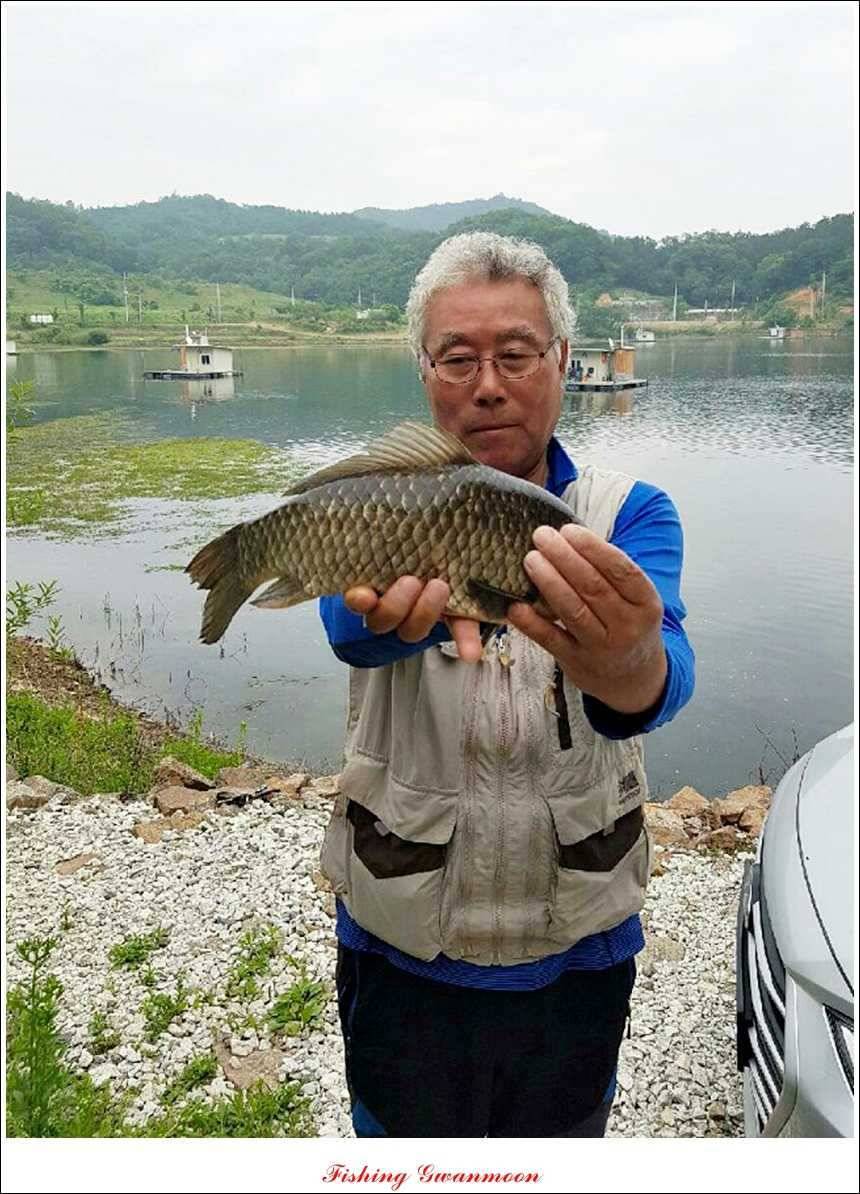 대류 한버들 45 cm44 cm36 cm화곡지 월척들 (조황조행기 - 특파원조황)