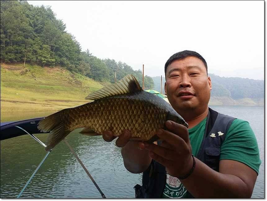 충주호그리고대물 (조황조행기 - 특파원조황)