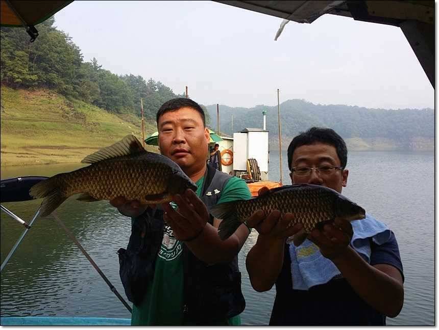 충주호그리고대물 (조황조행기 - 특파원조황)