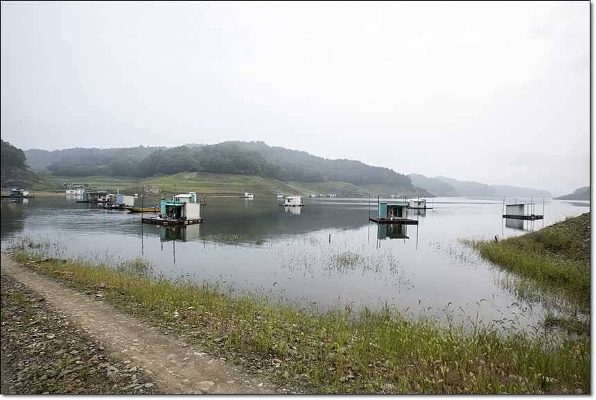 병호 사짜대형 향어 (조황조행기 - 특파원조황)