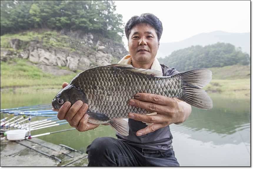 병호 사짜대형 향어 (조황조행기 - 특파원조황)