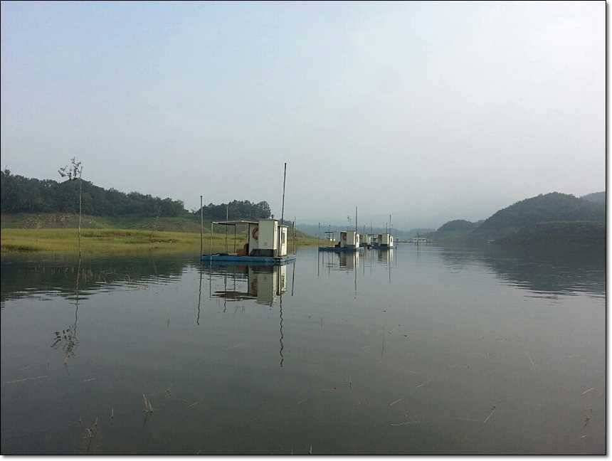 충주호그리고대물 (조황조행기 - 특파원조황)