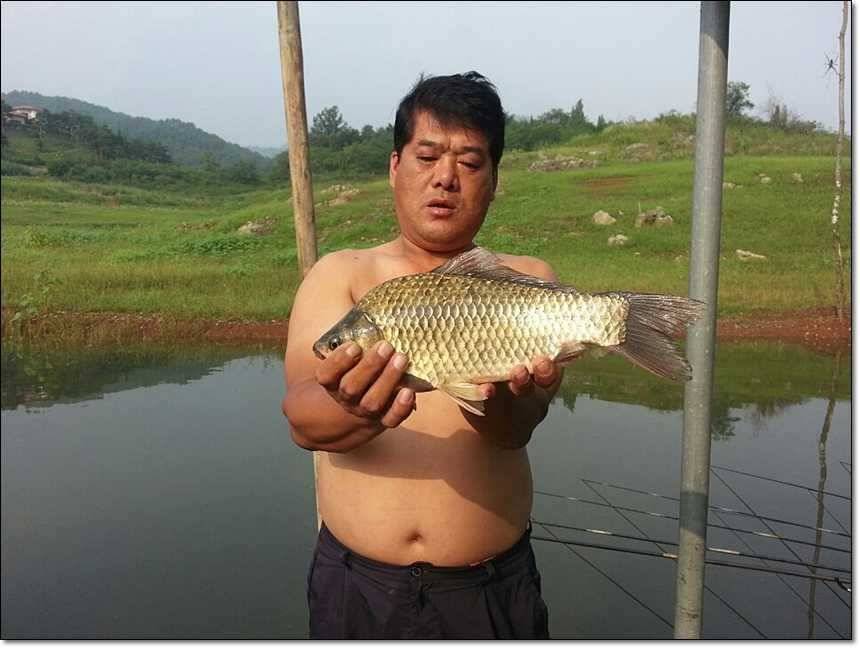 충주호그리고대물 (조황조행기 - 특파원조황)