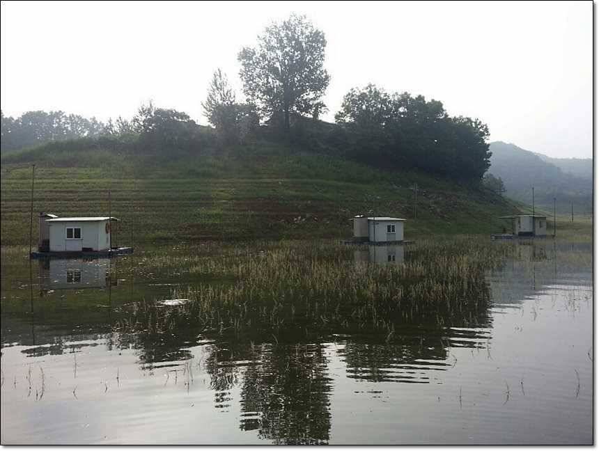 충주호그리고대물 (조황조행기 - 특파원조황)