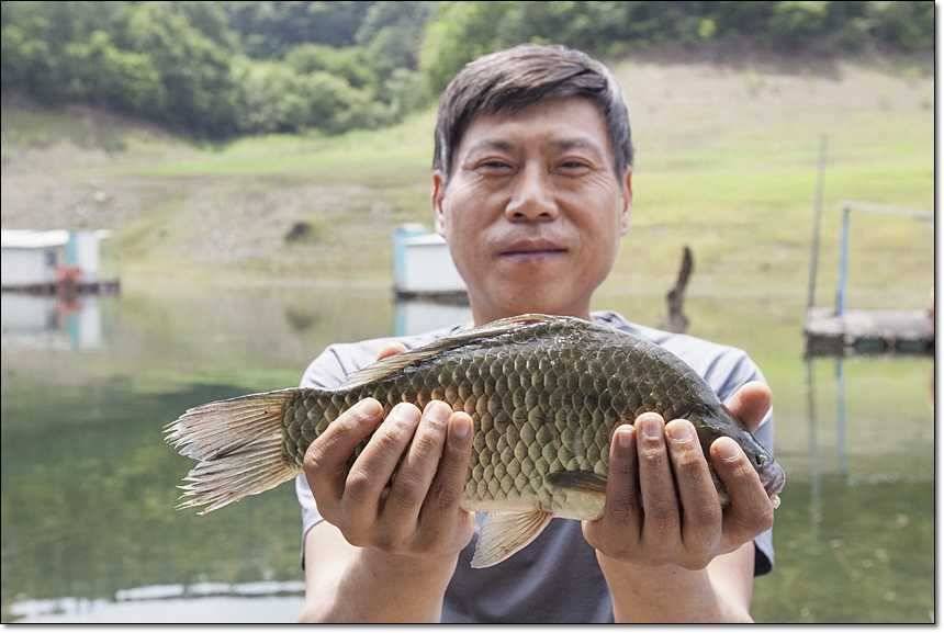 병호 사짜대형 향어 (조황조행기 - 특파원조황)
