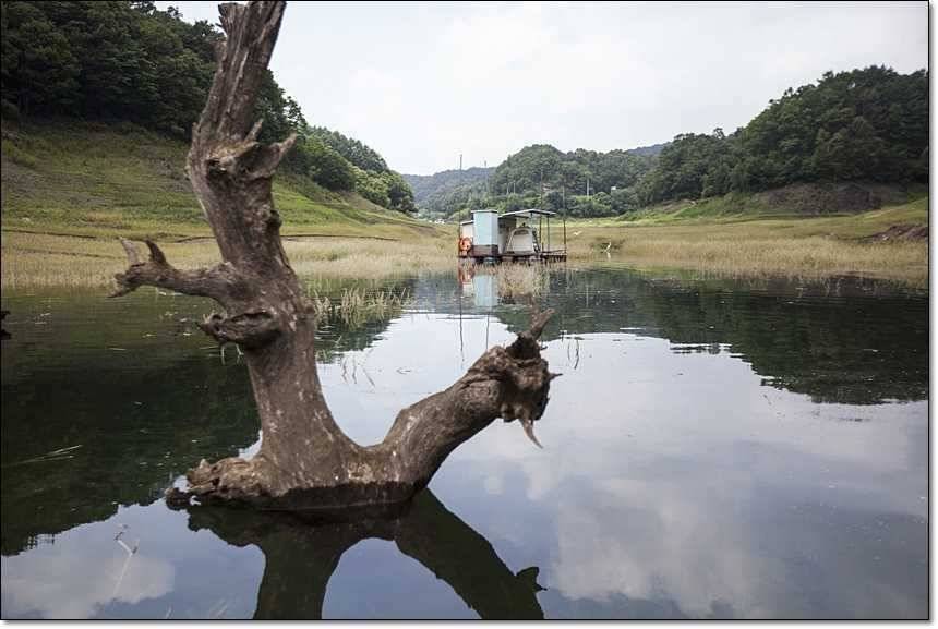 병호 사짜대형 향어 (조황조행기 - 특파원조황)