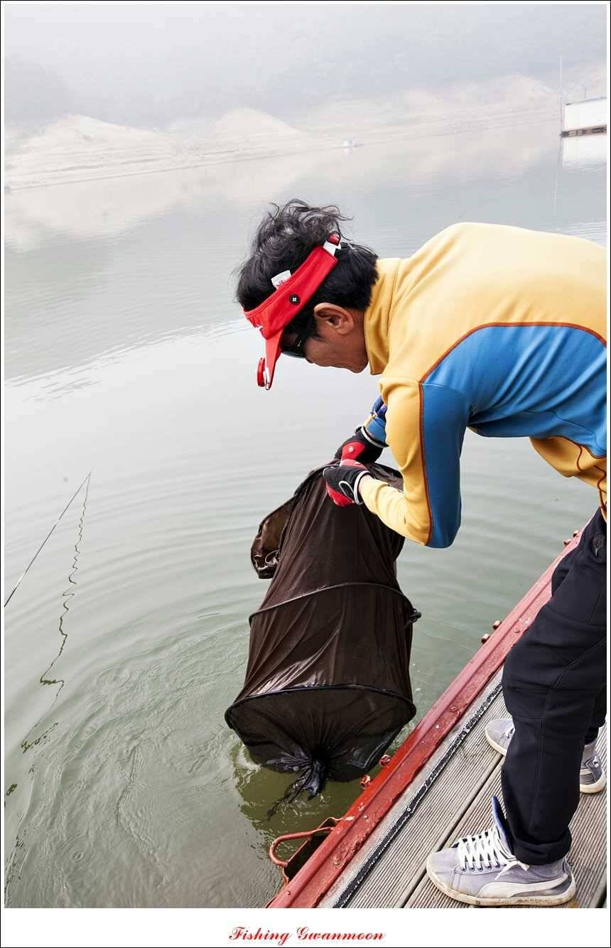솔 낚시터 사짜38 cm칠성지 사짜 (조황조행기 - 특파원조황)