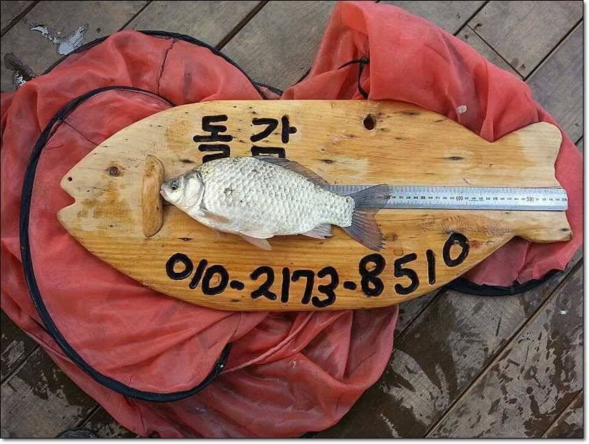 소류지 사짜충주호 사짜달천강 대박 (조황조행기 - 특파원조황)