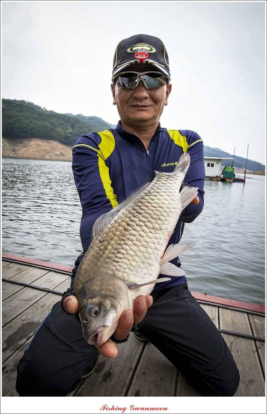 솔 낚시터 44 cm 대물 (조황조행기 - 특파원조황)