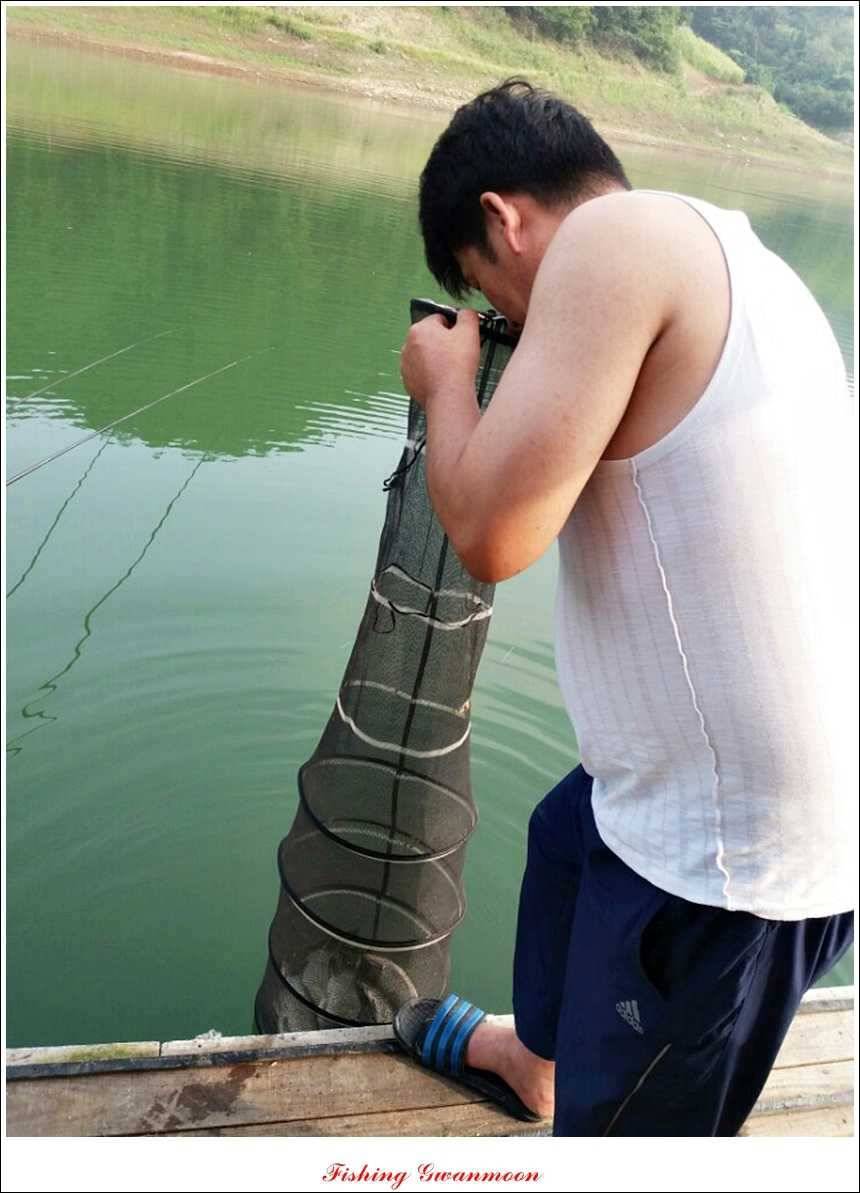 문골 키로장어한버들 마릿수실리곡 마릿수 조황 (조황조행기 - 특파원조황)