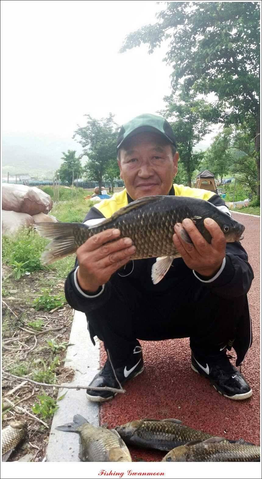 솔 낚시터 사짜38 cm칠성지 사짜 (조황조행기 - 특파원조황)