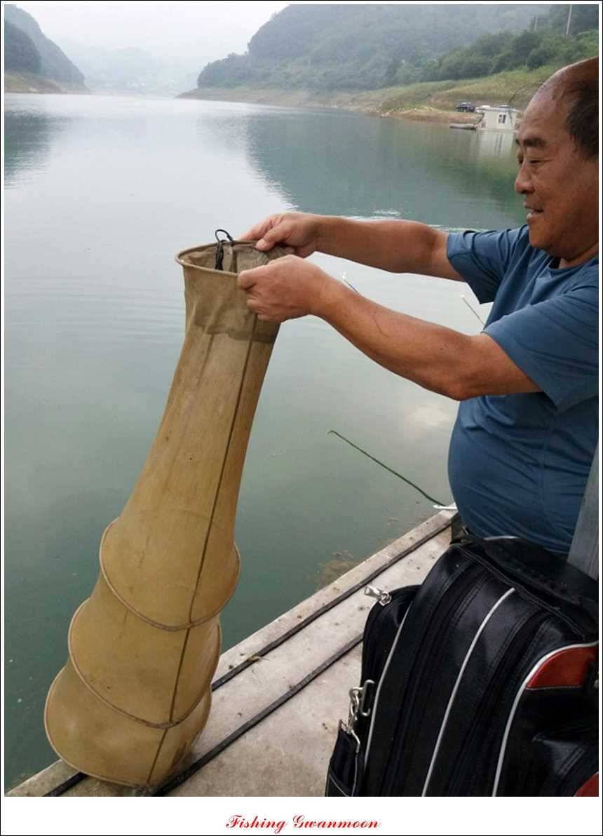 문골 키로장어한버들 마릿수실리곡 마릿수 조황 (조황조행기 - 특파원조황)