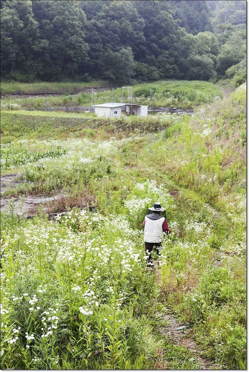 비행기팀 월척병호 월척 (조황조행기 - 특파원조황)